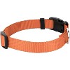Country Brook Petz Deluxe Nylon Dog Collar and Leash - 3 of 4