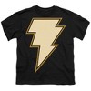 Boys' Short Sleeve Black Adam Black Adam Chest Emblem T-Shirt - 2 of 4