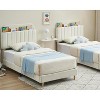 Twin/Twin XL/Full Bed Frames, Upholstered Platform Bed Frame with Bookcase Headboard, Velvet Platform Bed Mattress Foundation - 4 of 4