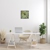 Stupell Industries Green Botanical Succulent Bloom, 18" x 18" - 2 of 4