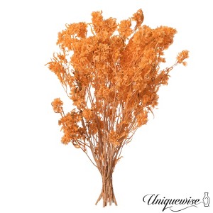 Uniquewise Preserved Real Floral Stems Chic Vase Fillers & Accents for Bouquets Centerpieces - 1 of 4