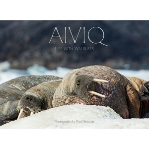 Aiviq: Life with Walruses - (Hardcover) - 1 of 1