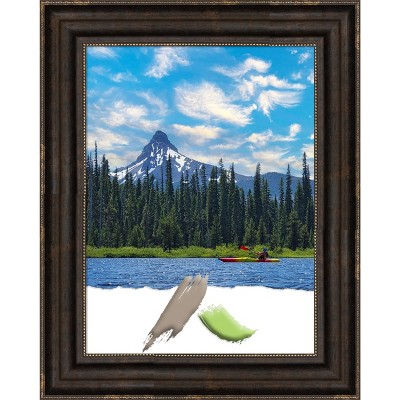 Amanti Art Stately Bronze Picture Frame