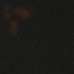 clear push pins bundle