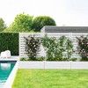 71" Raised Garden Bed PVC Fence Privacy Screen - 3 of 4