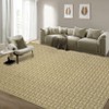 Washable Modern Braided Printed Rug Non Slip Low Pile Rug Soft Solid Throw Floor Cover Foldable Indoor Carpet for Living Room Bedroom Playroom - 3 of 4
