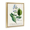 Stupell Industries Botanical Blue Flowers Vintage Design Floating Frame Canvas Art - 2 of 4