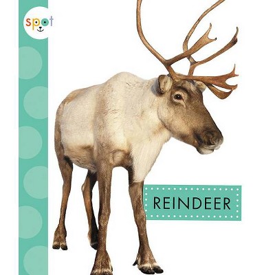 Reindeer - (Spot Arctic Animals) by  Anastasia Suen (Paperback)