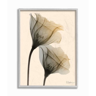 Stupell Industries Neutral Light Flower Photograph