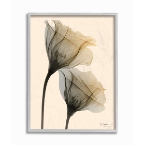 Stupell Industries Neutral Light Flower Photograph - 1 of 4