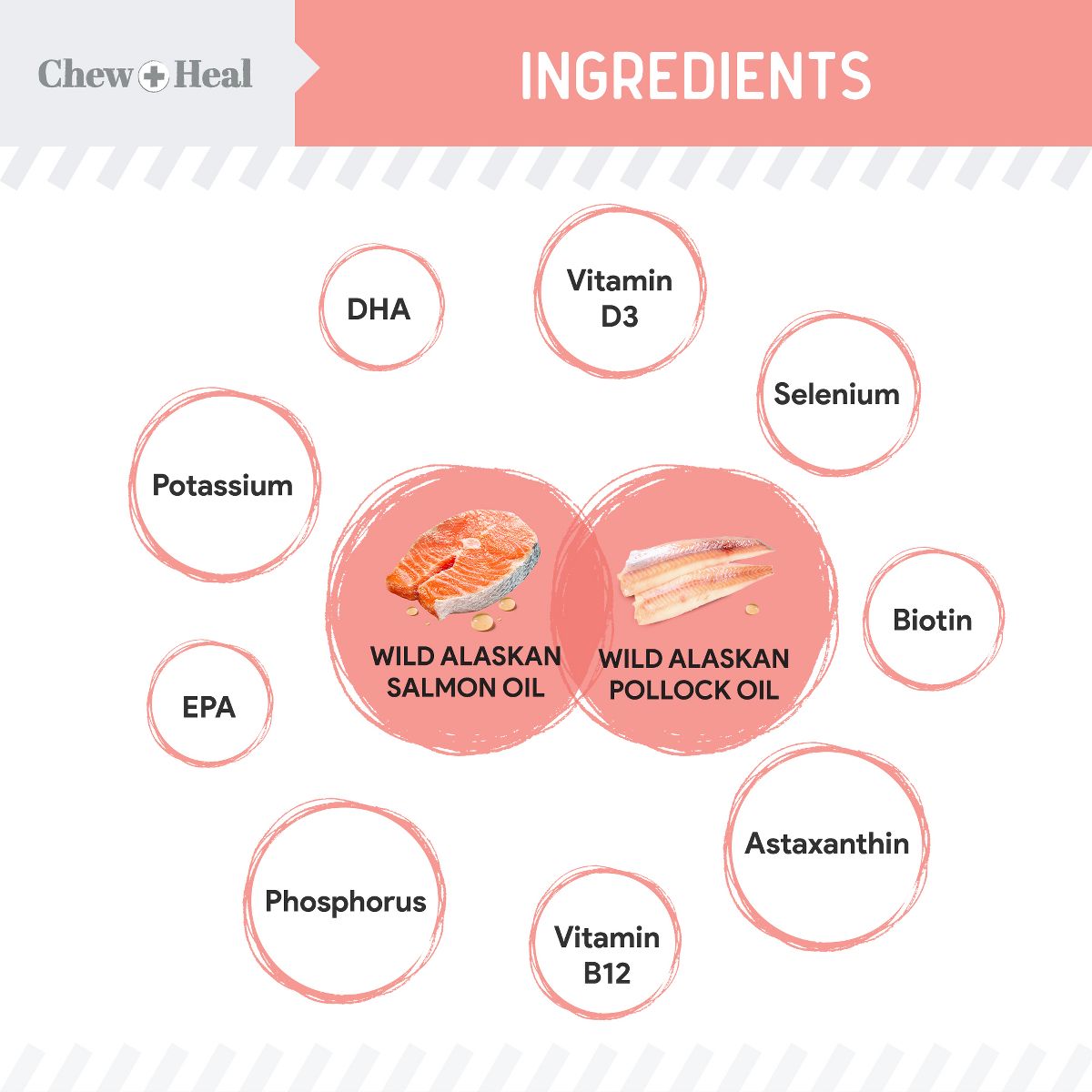 Chew + Heal Pure Wild Alaskan Omega Salmon Oil Formula Skin & Coat Liquid Supplement for Dogs - thumbnail 2