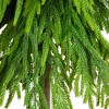 Nearly Natural 3' Artificial Real Touch Down Swept Norfolk Pine Tree with Natural Look - 2 of 4