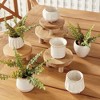 Plum & Post DEZIE MINI POTS Set of 6 - 3 of 4