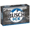 Busch Ice Beer - 24pk/12 Fl Oz Cans : Target