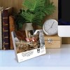 Willow Creek Press 2026 Bad Kitties Box Calendar - 3 of 4
