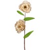 Northlight 40" Ivory/Green Floral Artificial Craft Spring Spray - 3 of 4