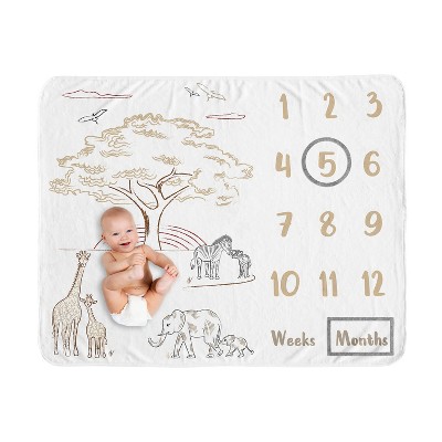 Baby month best sale blanket target