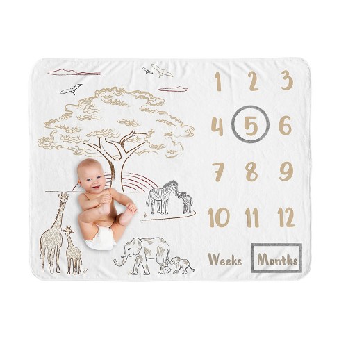 Baby month blanket discount target