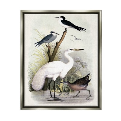 Stupell Industries Varied Crane Birds Gathered Riverbank Stream BotanicalsFloater Canvas Wall Art