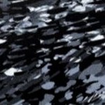 black white sunburst