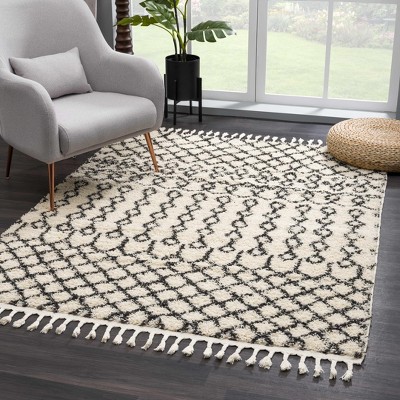 Hauteloom Muni Berber Shag Rug