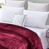 Plazatex Micro Plush Solid Parteen Soft Comfortable and Lightweight All Seasons Blanket Twin Burgundy - 3 of 4