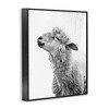 Stupell Industries Sheep Bathroom Splash Framed Giclee Art - 2 of 4