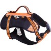 Dog Helios  Freestyle 3-in-1 Explorer Convertible Backpack, Harness and Leash - 3 of 4
