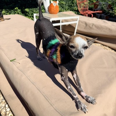 Guest review image 2 of 2, zoom in