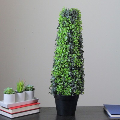 Festive 26" Green Boxwood Cone Topiary Tree in Black Pot