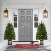 Puleo Set of 2 Artificial Battery-Operated Pre-Lit Brown Pot Potted Christmas Trees - 2 of 4