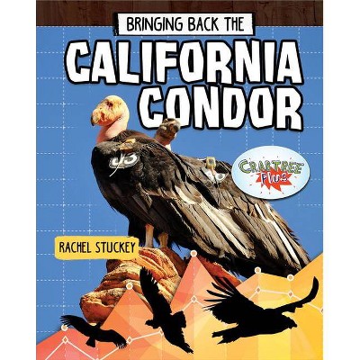 Bringing Back the California Condor - (Animals Back from the Brink) by  Rachel Stuckey (Hardcover)