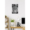 Trends International Reinders: Animals - Blue Eyed Lion Unframed Wall Poster Prints - 2 of 4