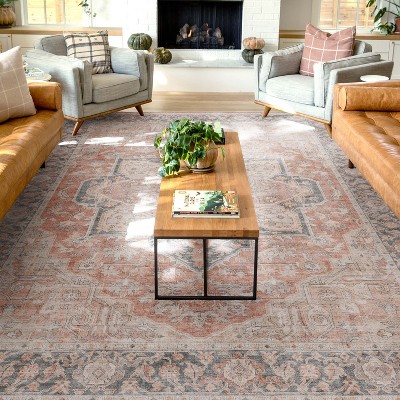 Apollo Red and Gray Oriental Chenille Area Rug