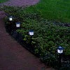 LumaBase Solar-Powered Ground Lights, Black Window - Set of 4 - 2 of 4