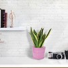 Unique Bargains Home Garden Office Round Shape Plastic Flower Pot - 4 of 4