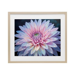 Stupell Industries Dew Kissed Pink Chrysanthemum Framed Print Under Glass - 1 of 4