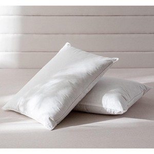 Aghana Digitals Fluffy Organic Cotton Bed Pillows Set of 2, Queen Size - 1 of 4