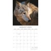 The Gifted Stationery 2025 Square Wall Calendar, Wolves, 16-Month Animals Theme with 180 Reminder Stickers (12 x 12 In) - 3 of 4