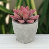 Unique Bargains Artificial Plants Plastic Pink 2.44"x2.44"x3.35" 1 Pcs - 2 of 4