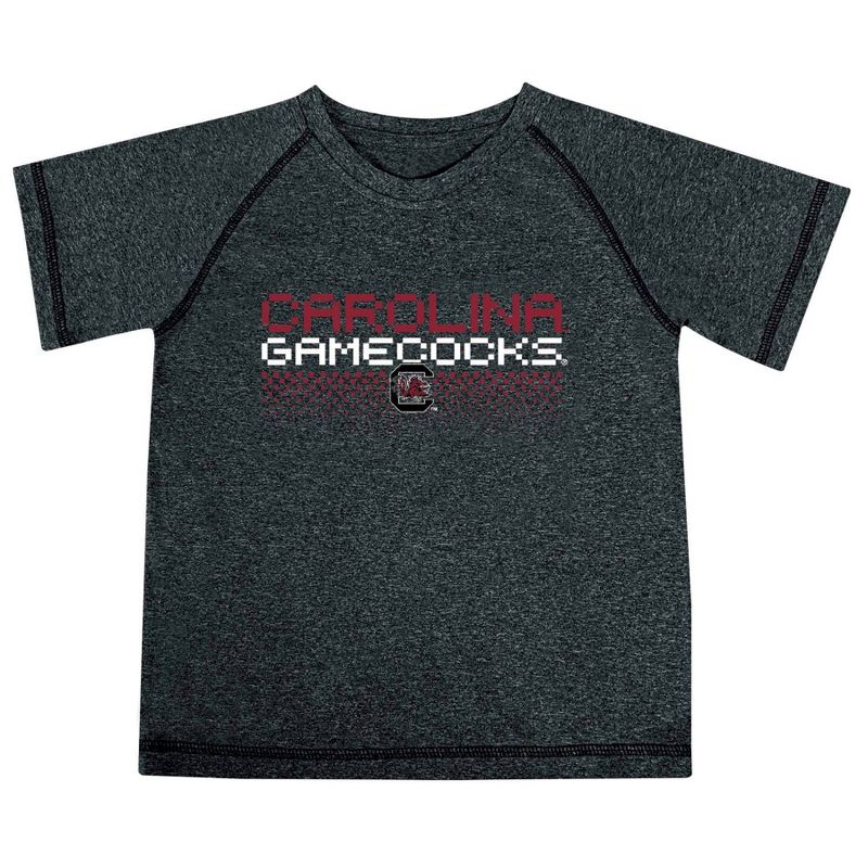NCAA South Carolina Gamecocks Toddler Boys&#39; Poly T-Shirt, 1 of 4