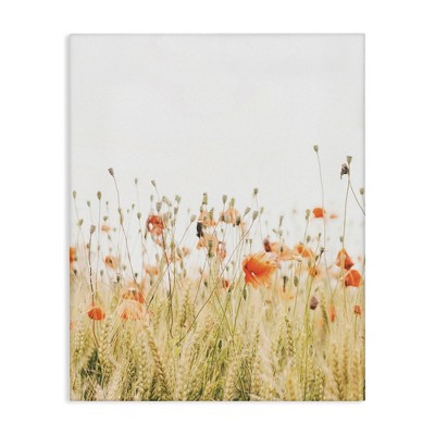 Stupell Industries Poppy Field Photography, 16" x 20"