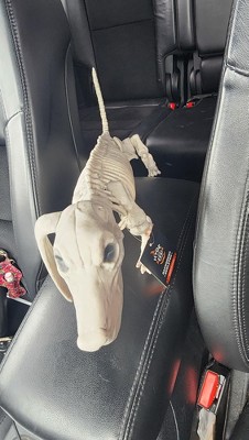 Guest review image 1 of 1, zoom in