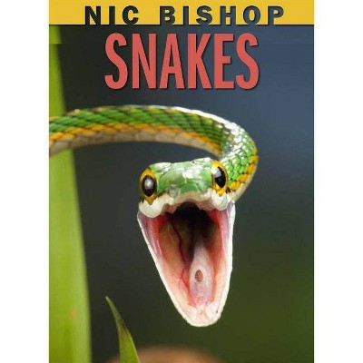 Nic Bishop: Snakes - (Hardcover)