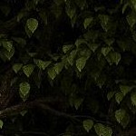 900 lbs load capacity | black + orange