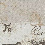 roosters