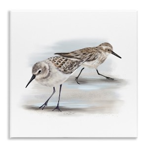 Stupell Industries Sandpiper Pair on Sandy Beach, 12" x 12" - 1 of 4