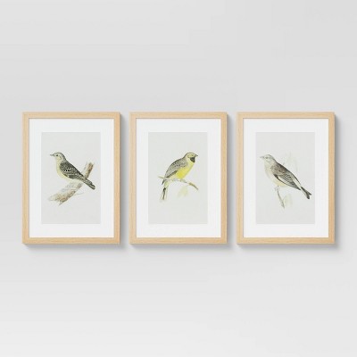 (Set of 3) 12" x 16" Birds Framed Under Glass - Threshold™