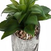 GlasFlength Artificial Plants Small Fake Plants Artificial Grass Plants Faux Plants for Indoor Home Table Decoration, Green, 5"*5"*7" - 3 of 4