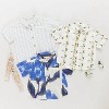 Boy's Jack Shirt - PINK CHICKEN - 4 of 4
